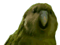 1283394321274.gif