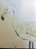 Flamingooo.jpg
