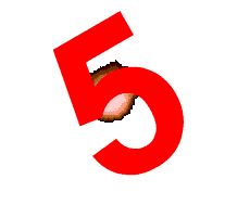 vote_5.gif