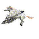 023.gif