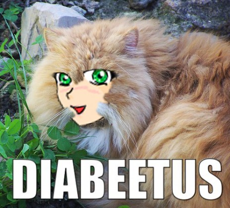 Millie_Diabeetus.jpg