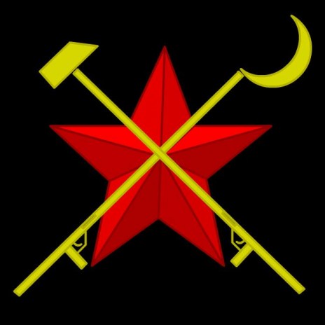 SWR_icon2_650x650.JPG