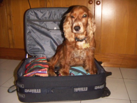 PICT0007.JPG