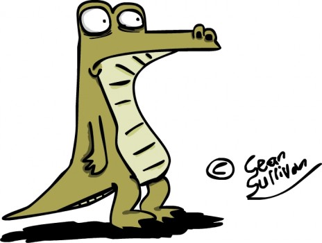 Harry_Gator.jpg