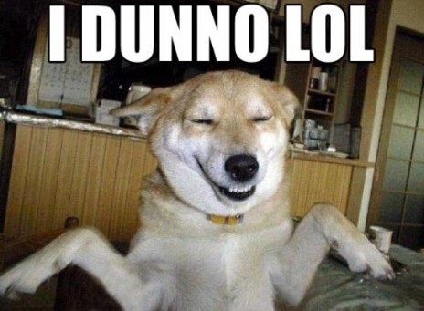 lolsrsly.jpg