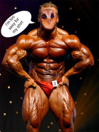 Body_Builder_Owl.jpg