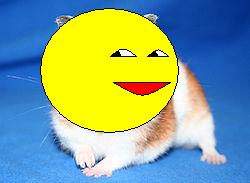 250px_Goldhamster_2.jpg