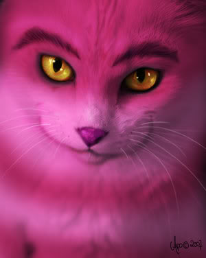 Cheshire_Cat.jpg