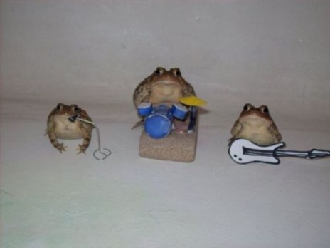 froggo_and_da_crew.jpg