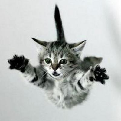 KatsGravity.jpg