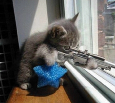 kittysniper.jpg