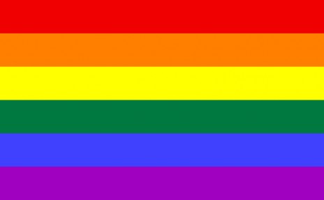 777px_Gay_flag.svg.jpg