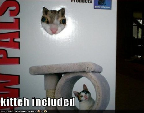 included.jpg