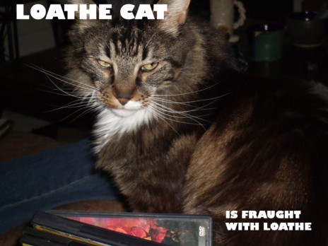 loathe_cat_edited_1.jpg