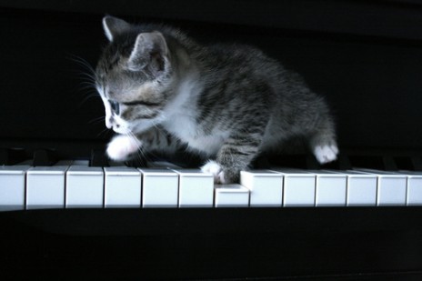 pianokitteh.jpg