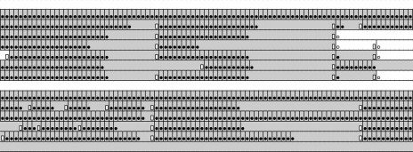 mybrain.jpg