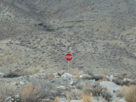 nv.jpg
