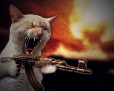 0403425794-lol-cat-pics-00.jpg