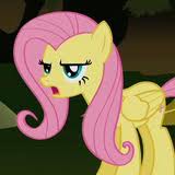 2092800317-bronies.jpg.jpg