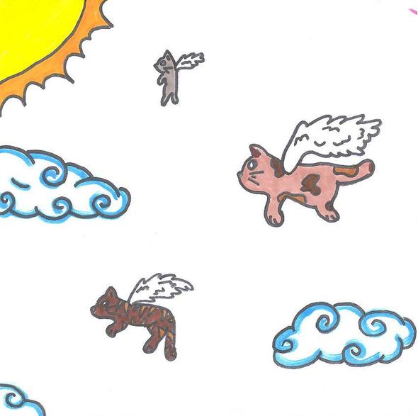 0014592613-cats.jpg.jpg