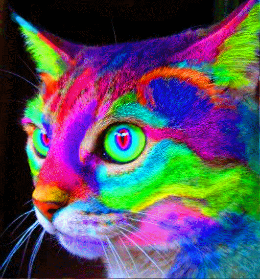 1024779478-bhcle-1.gif.gif