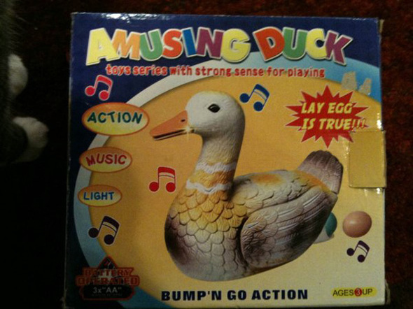 2033062738-duck.jpg.jpg