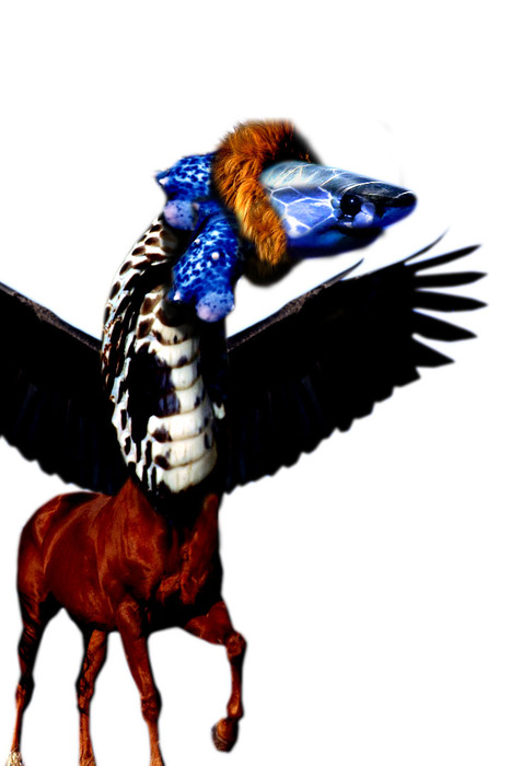 1907353525-dragon.jpg.jpg