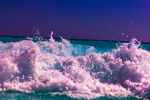 2084342273-new-wavve.jpg.jpg