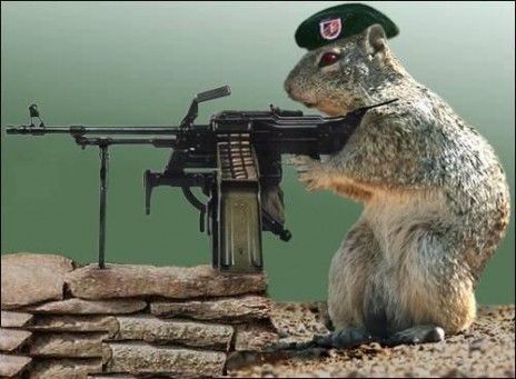 squirrel_with_machine_gun.jpg