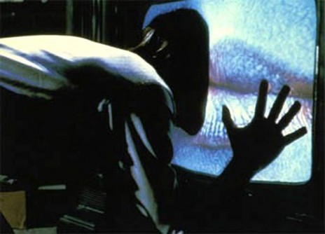 videodrome2.jpg