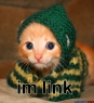 Im_Link.jpg