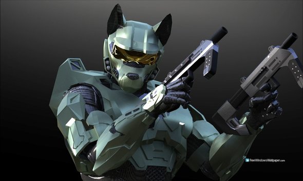 halo cat