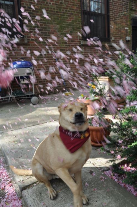 0304053285-tumblr-m3a9w1t2.png