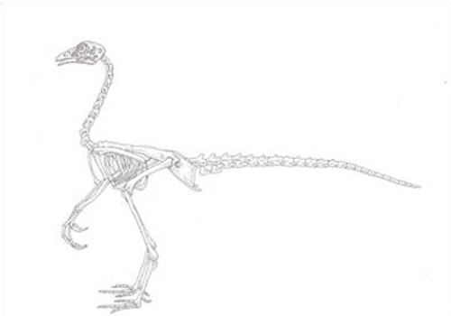 0228514696-pollosaurus.jpg.jpg