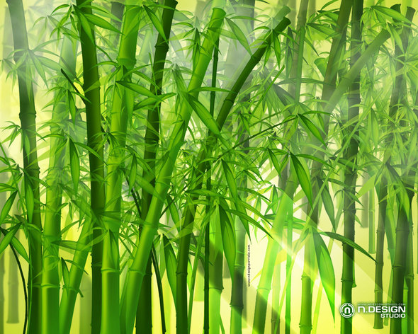 0464763409-bamboo.jpg.jpg