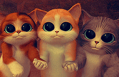 0760645299-own.gif.gif