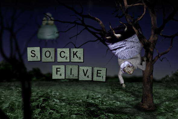 0258829880-sock5.jpg.jpg