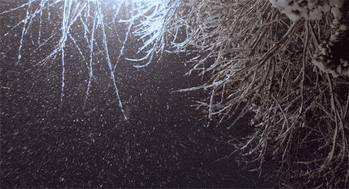 1865970817-2ydt3.gif.gif