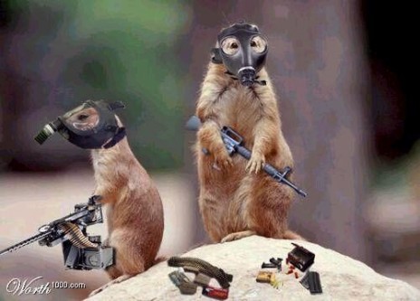 Desert_Rats.jpg