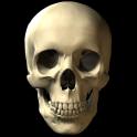 SKULL.jpg