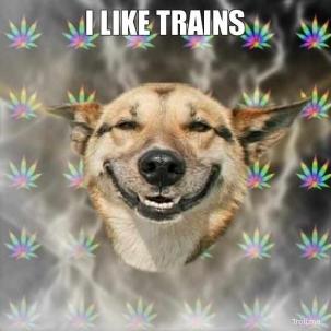 1495885819-i-like-trains-t.jpg