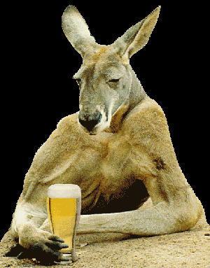1747168684-kangaroo-1.gif.gif
