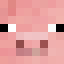 0170900685-face-of-a-pig.p.png