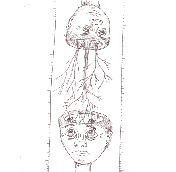 1337994658-viewer.png.png