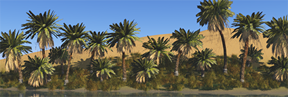 0106159572-palm.png.png