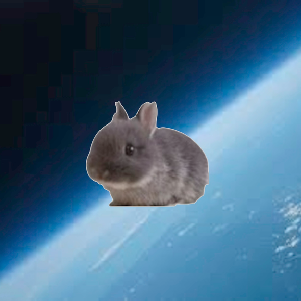 0031949165-space-bunny-log.png
