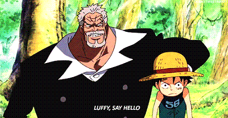 1103356470-luffy-gif.gif.gif