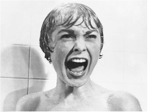 0310263777-janet-leigh.jpg.jpg