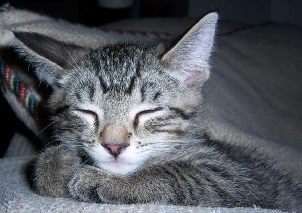 0704197942-cute.jpg.jpg