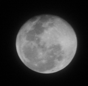 0883877579-rabbit-in-moon..jpg